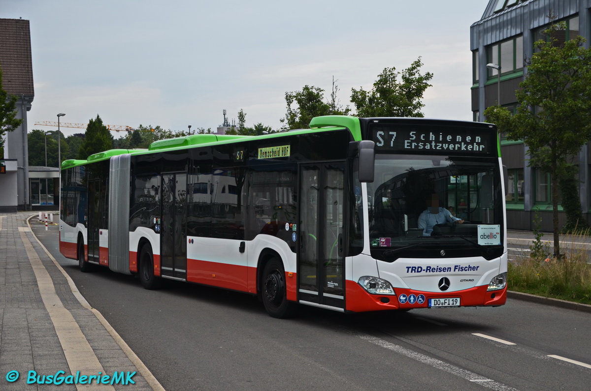 DO-FI 19