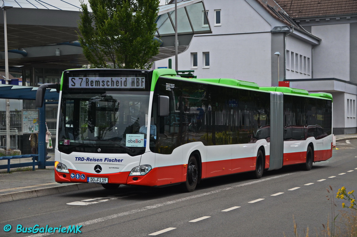 DO-FI 19
