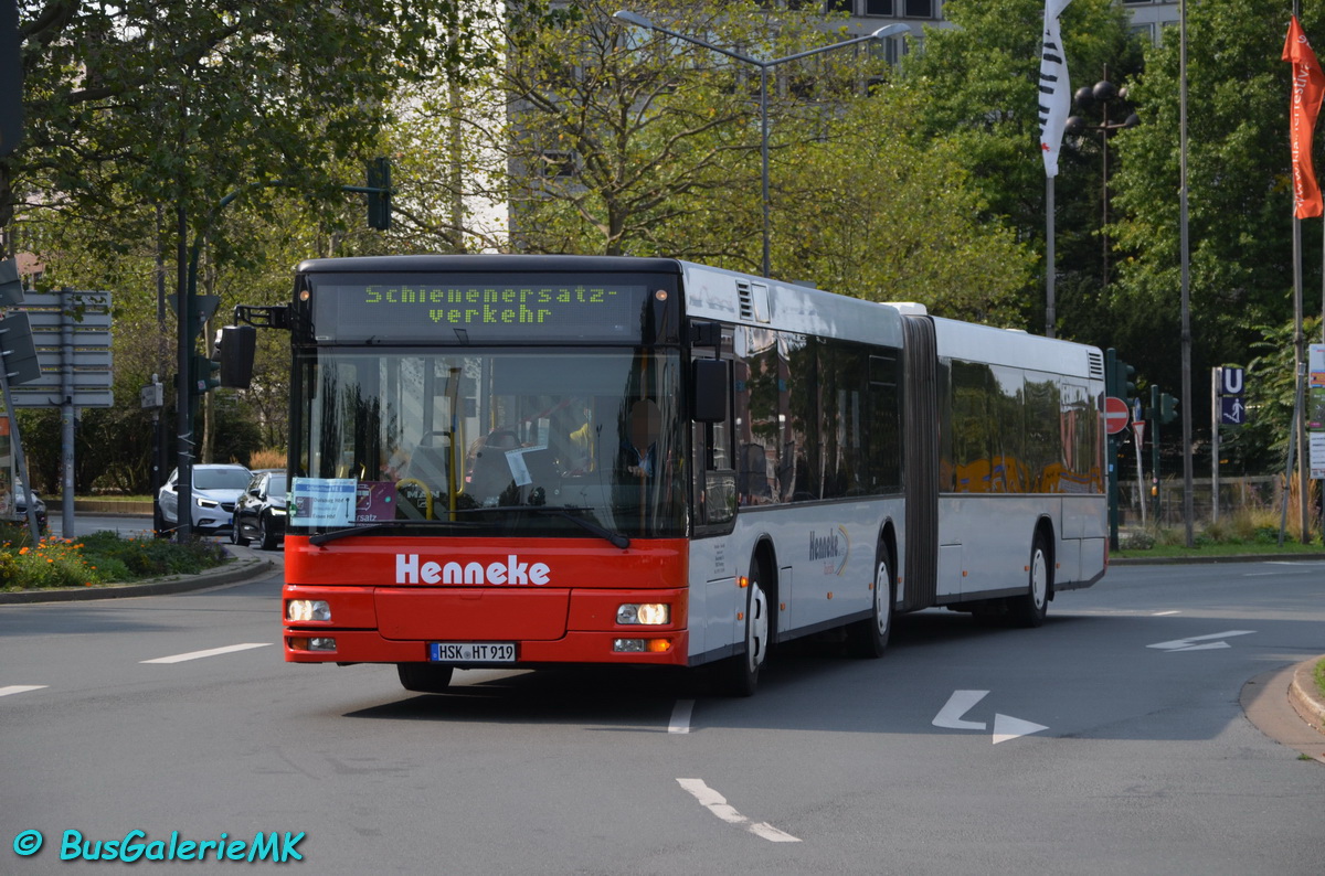 HSK-HT 919