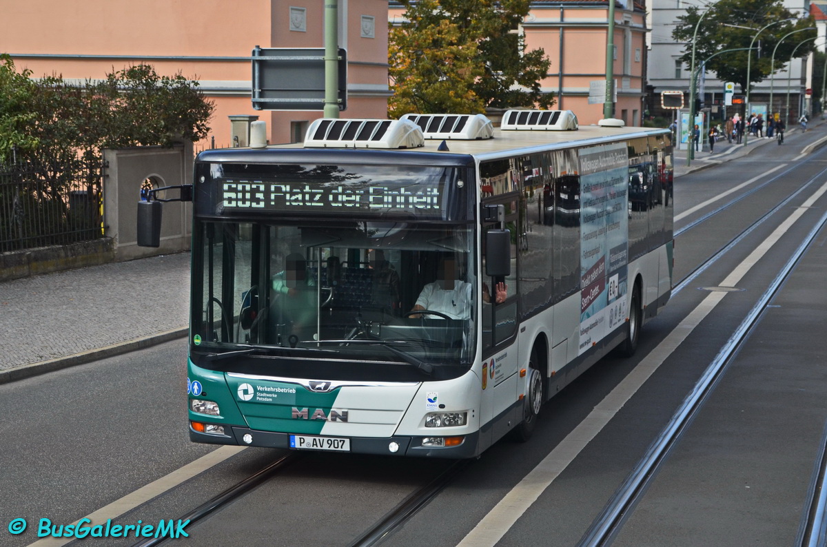 P-AV 907